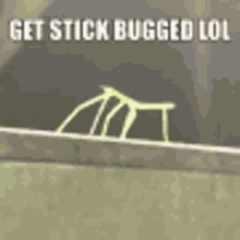 A stickbug (Stick Insect) dancing